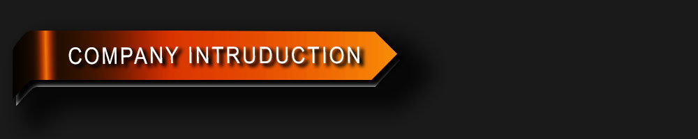 COMPANY-INTRODUCTION.10 COMPANY-INTRODUCTION.10