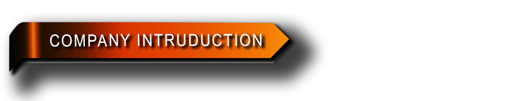 company-intruduction company-intruduction